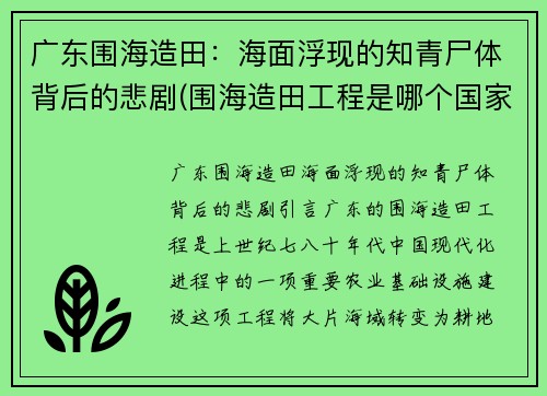 广东围海造田：海面浮现的知青尸体背后的悲剧(围海造田工程是哪个国家)